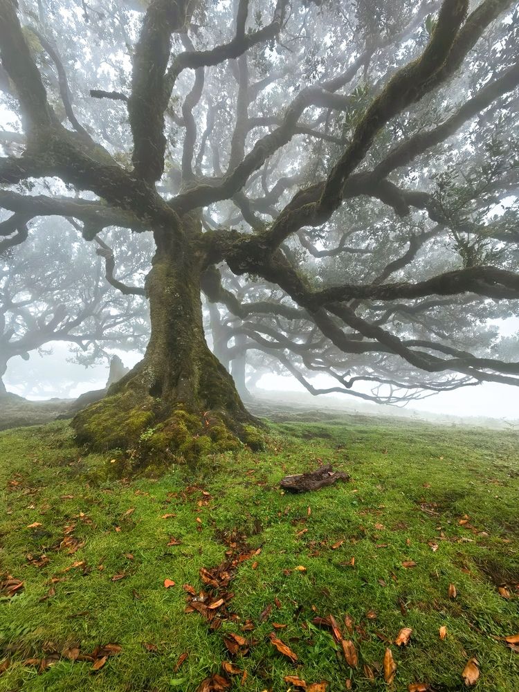 Photograph by Konstantin Shendel