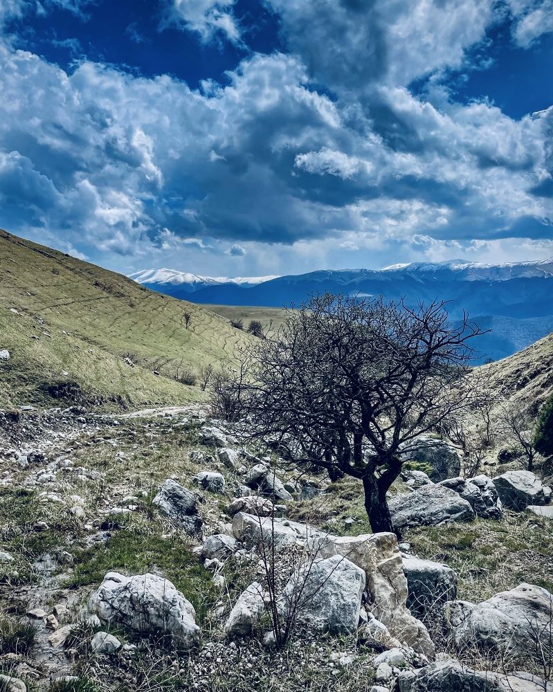 Photograph by Iuliia Akhulkova