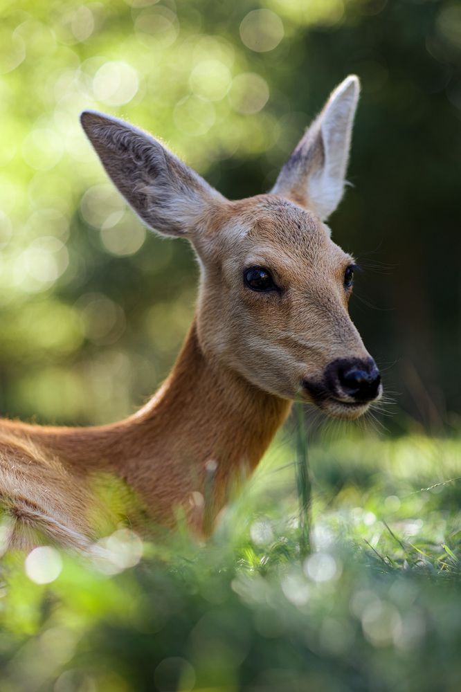 Photograph by Евгения Шубенкова
