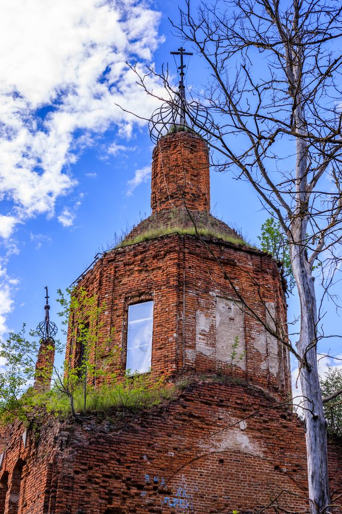 Photograph by Делана Романова