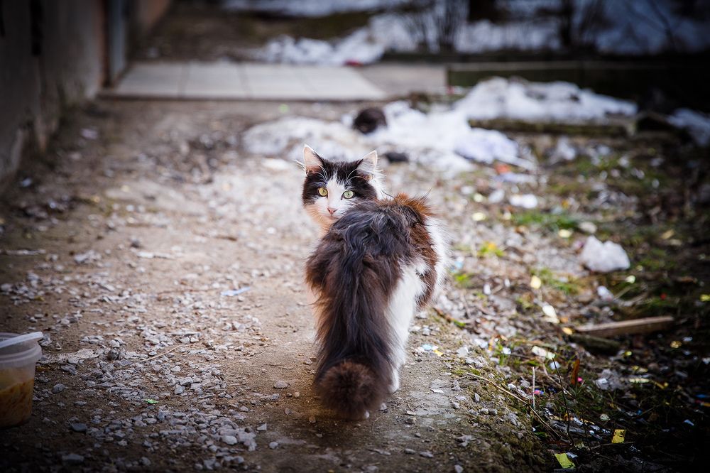 Photograph by Делана Романова