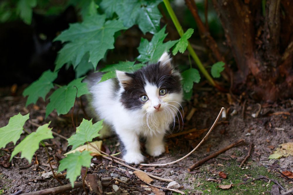 Photograph by Делана Романова