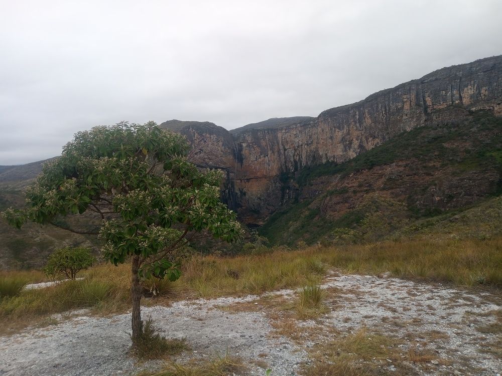 Фотография автора Edmundo Figueiredo Soares Junior