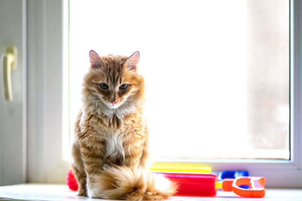 Photograph by Борис Абдуллин