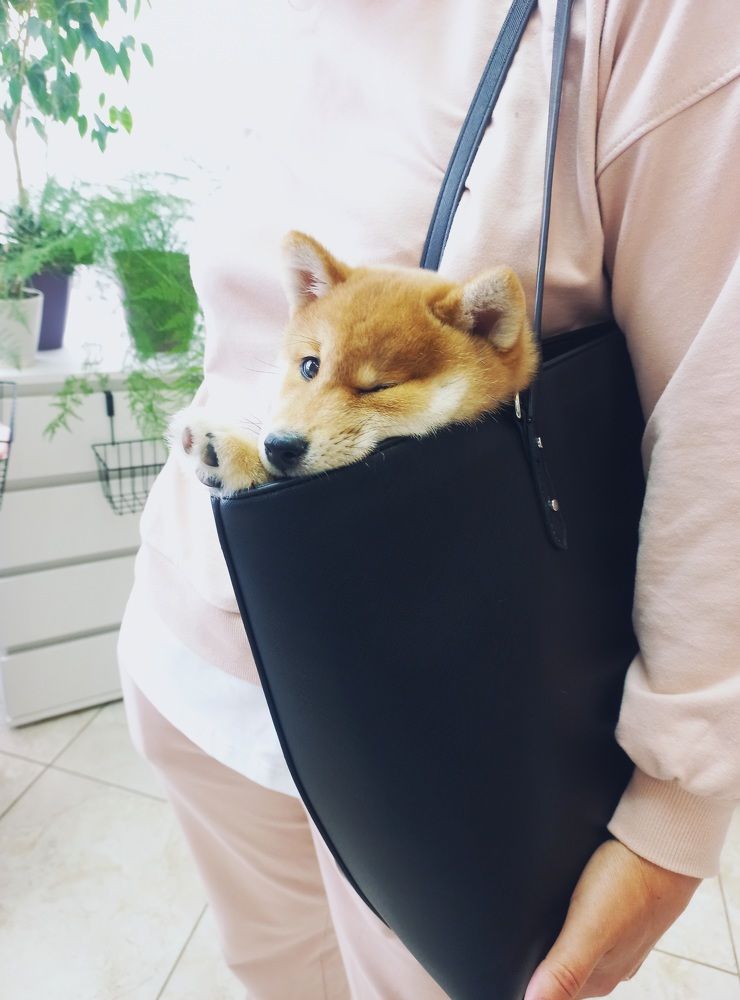 Photograph by Елена Щербакова