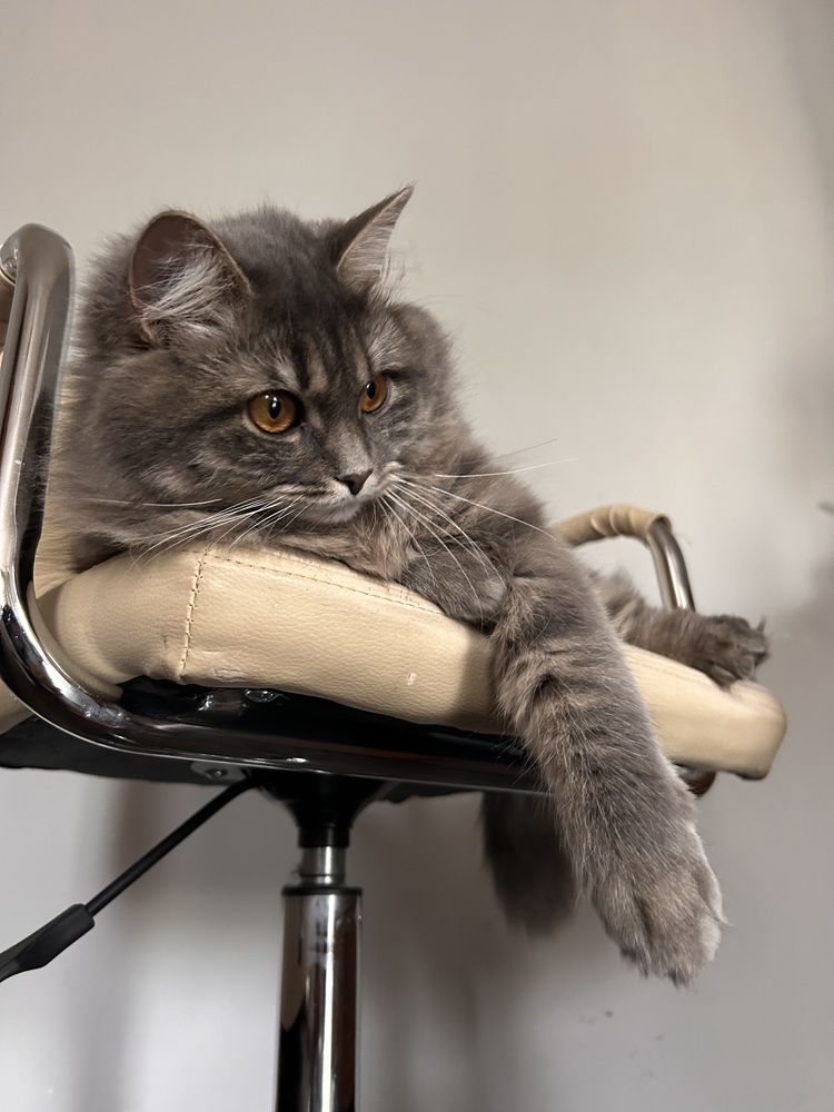 Photograph by Татьяна Дубовицкая