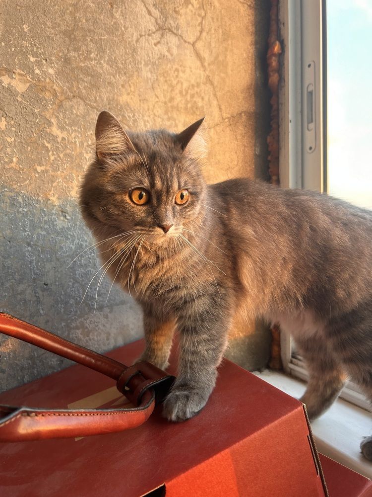 Photograph by Татьяна Дубовицкая