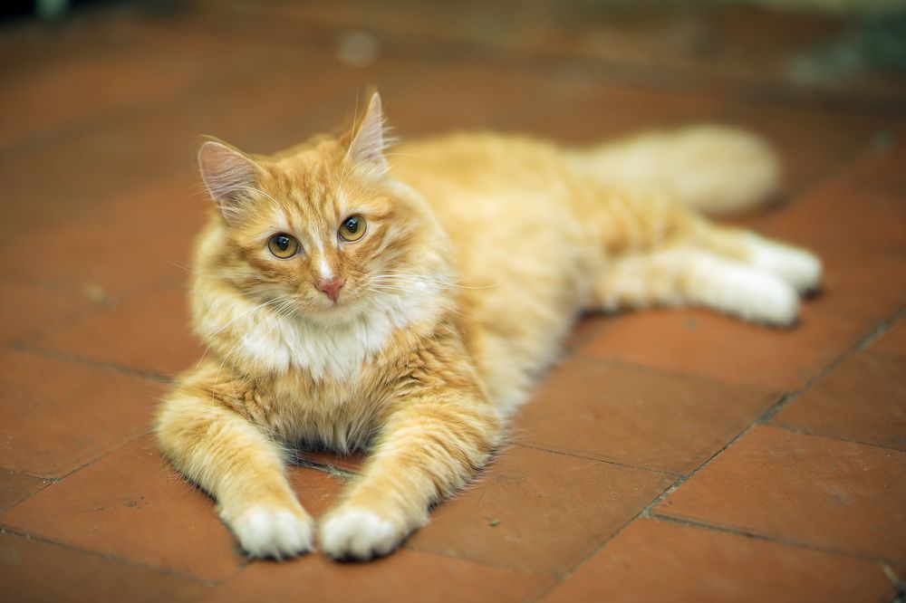 Photograph by Борис Абдуллин