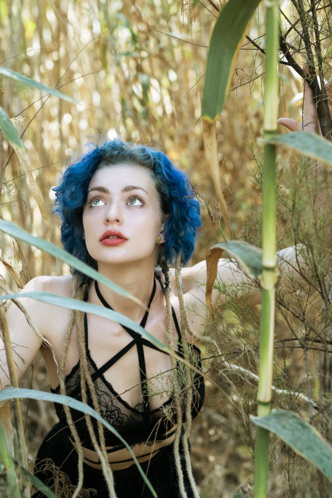 Фотография автора Alex Lerner