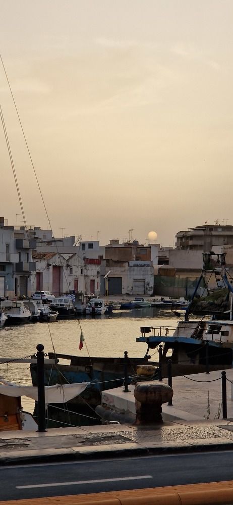 Photograph by Tatyana Pomogaeva