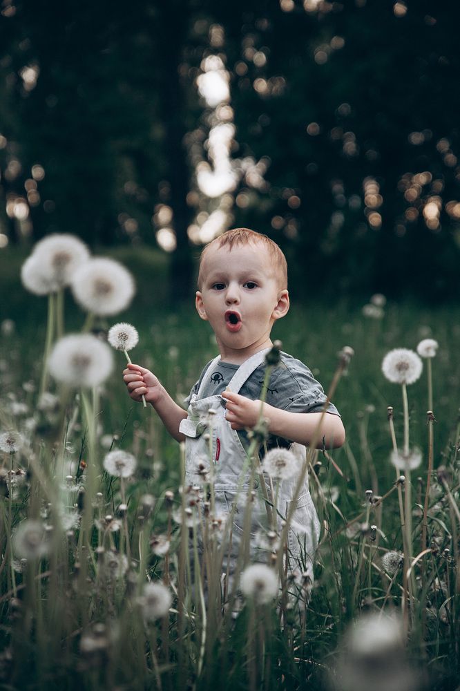 Photograph by Мария Корвин-Кучинская