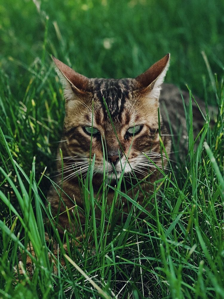 Photograph by Елена Громова