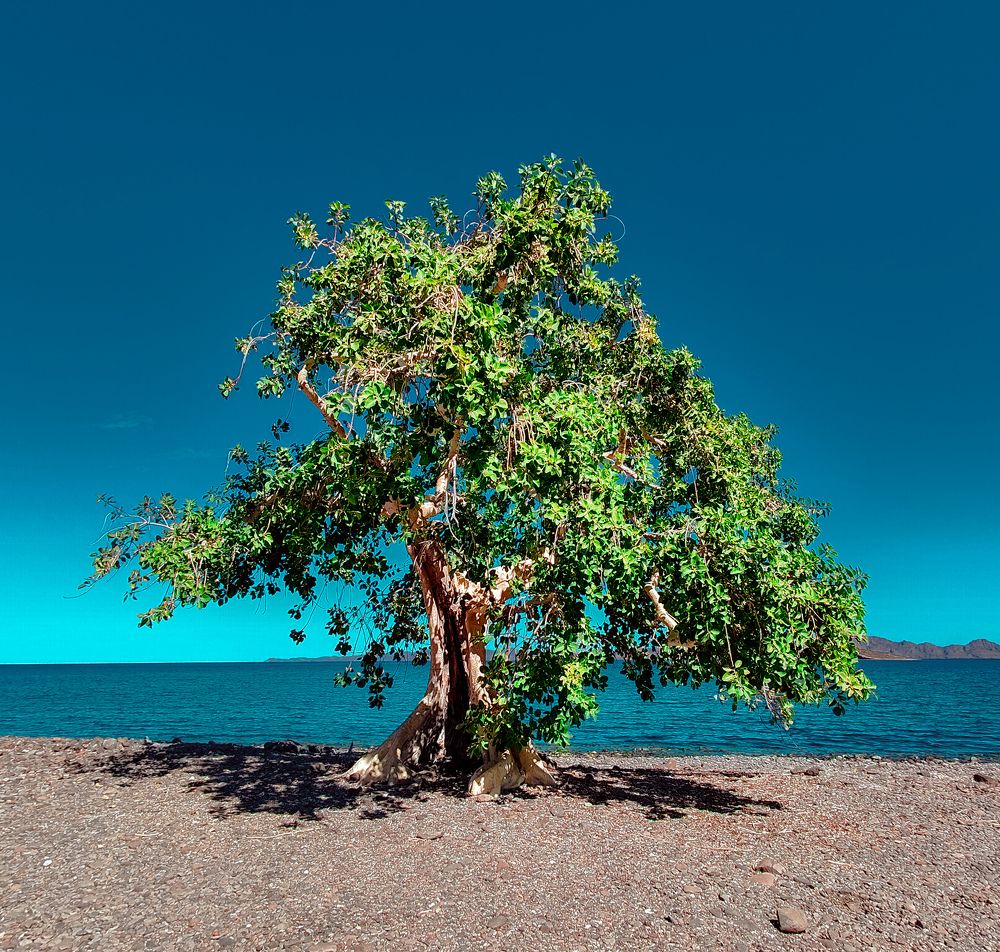 Фотография автора fabio chiari