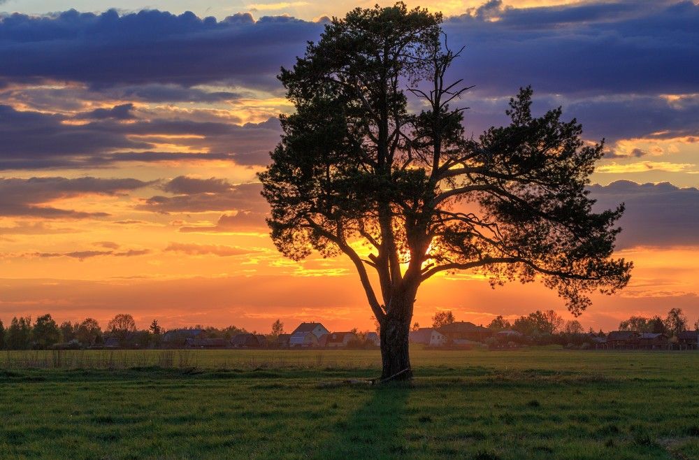 Photograph by Александр Литвинов