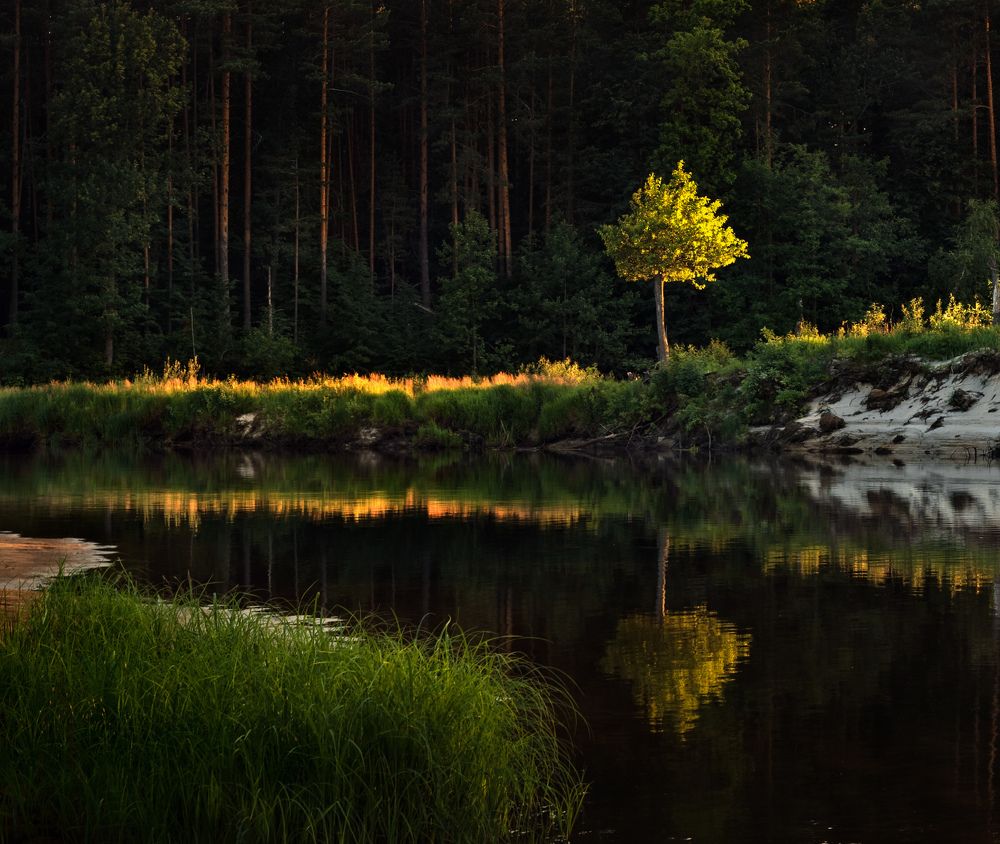 Photograph by Алексеев Дмитрий