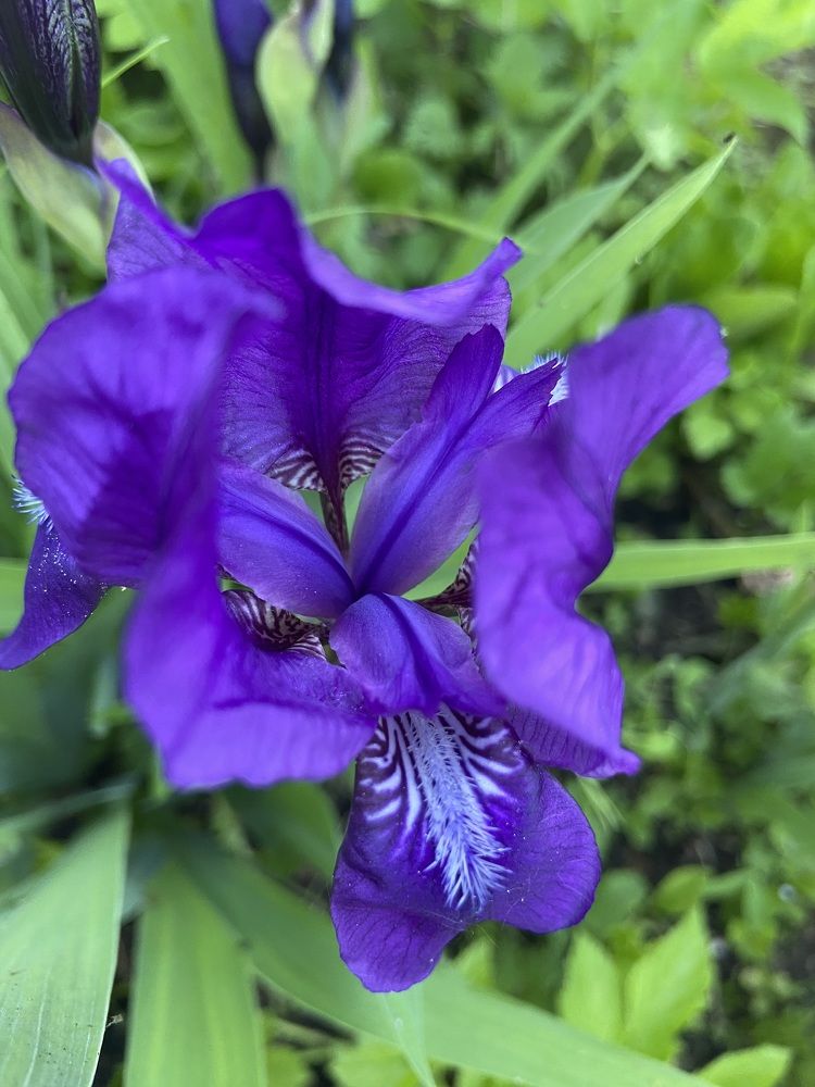 Photograph by Наталья Онофренчук