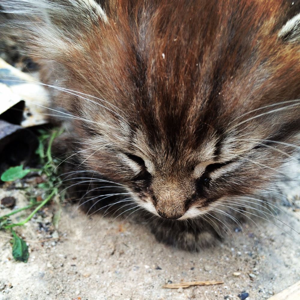 Photograph by Nataliia Nedelina