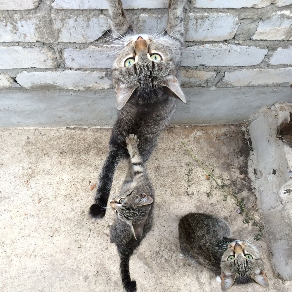 Photograph by Nataliia Nedelina