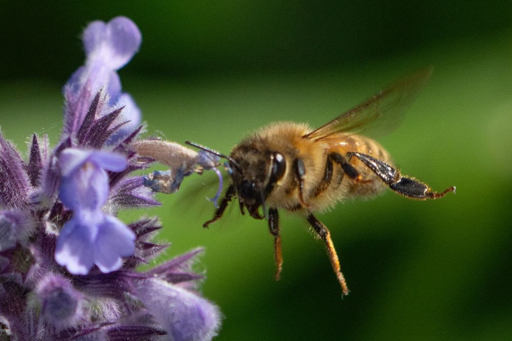 Фотография автора Ruslan Badykov