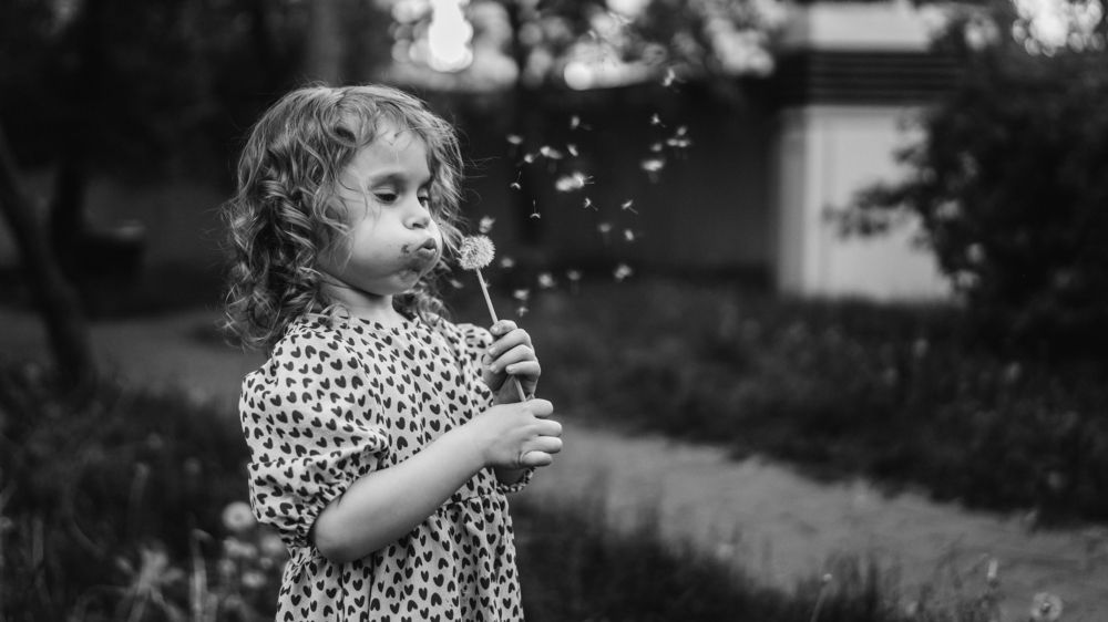 Фотография автора Михаил Филимонов