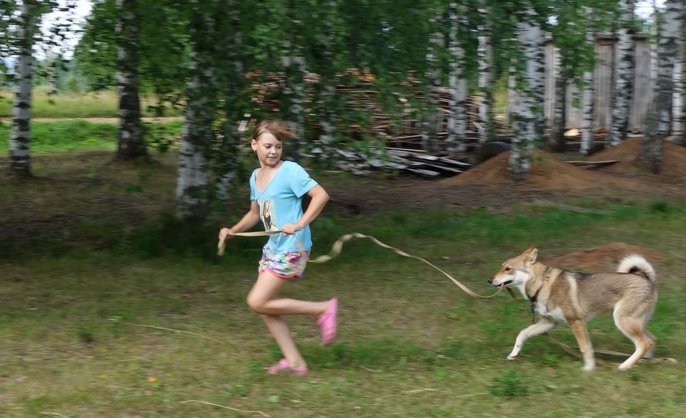 Photograph by Виктор Решетников