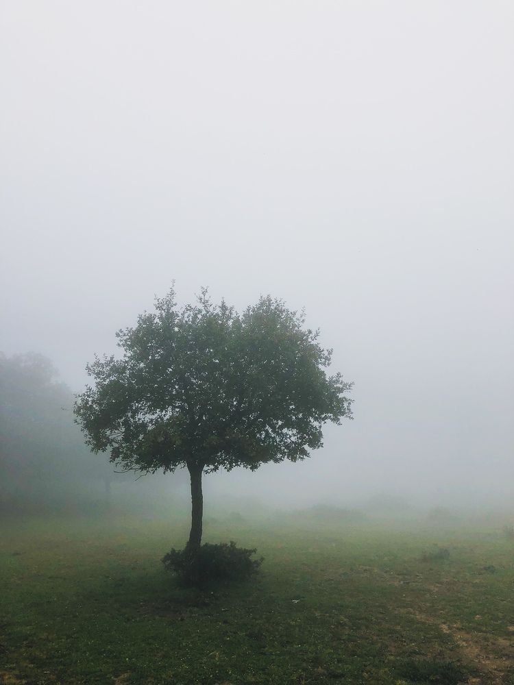 Photograph by Islam Traikia