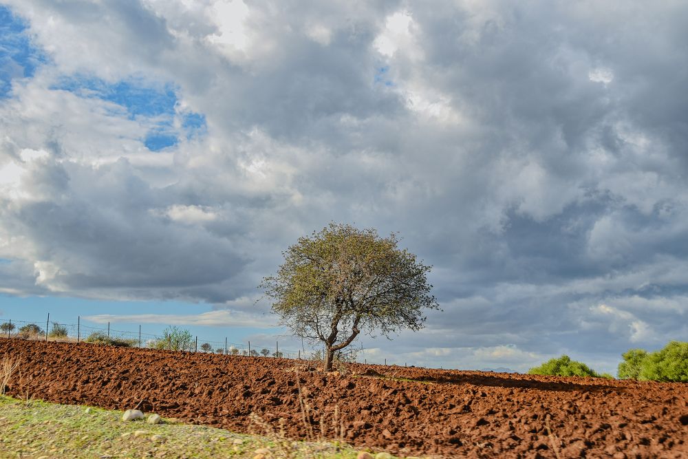 Photograph by Islam Traikia