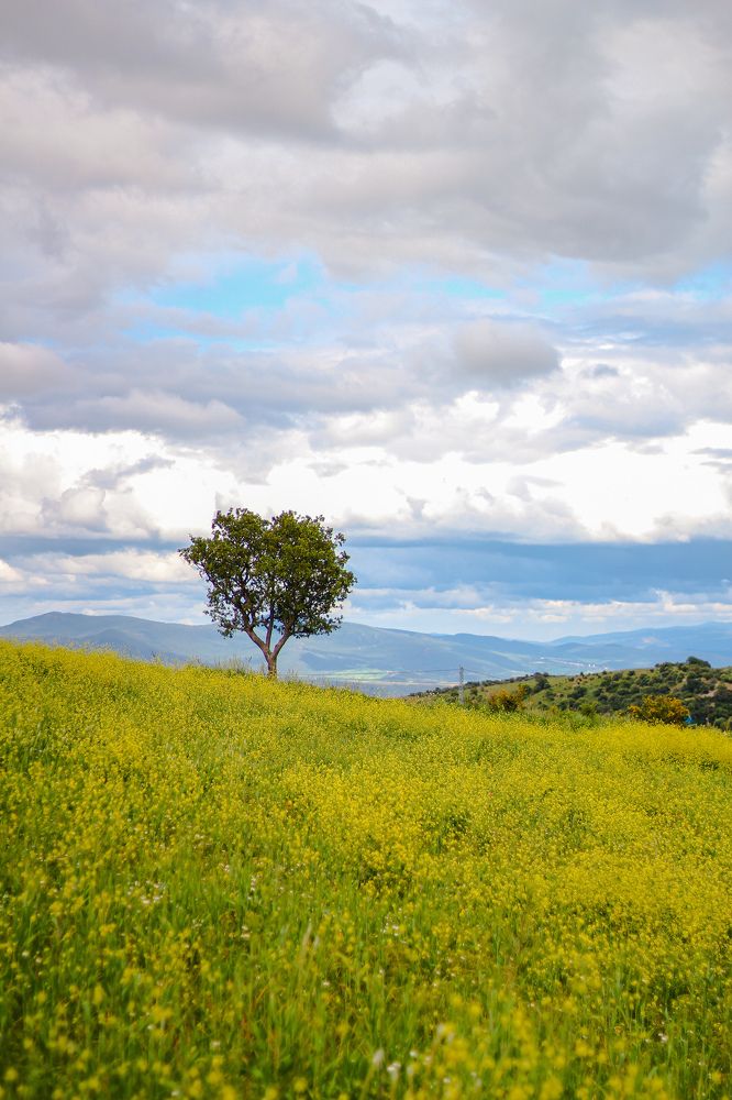 Photograph by Islam Traikia