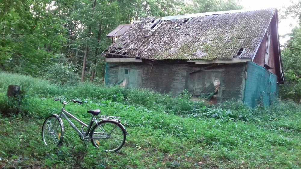 Photograph by Галина Петрушенко