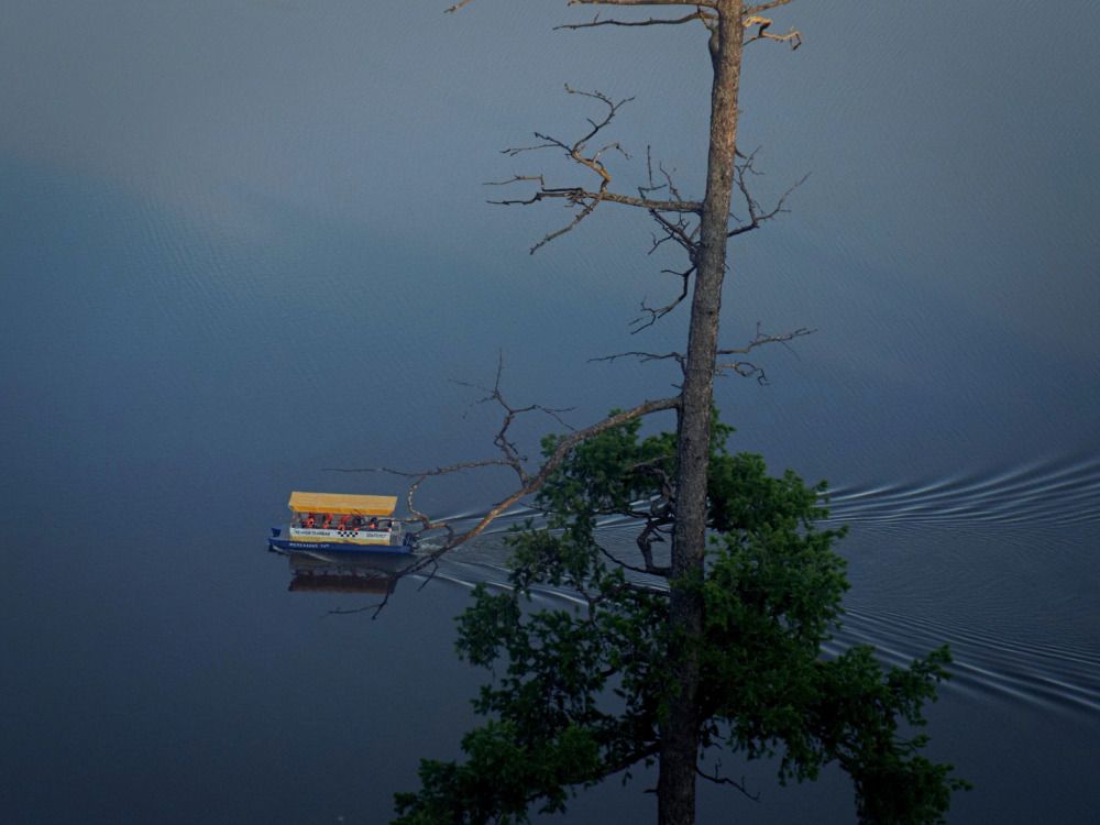 Photograph by Дарья Толстых