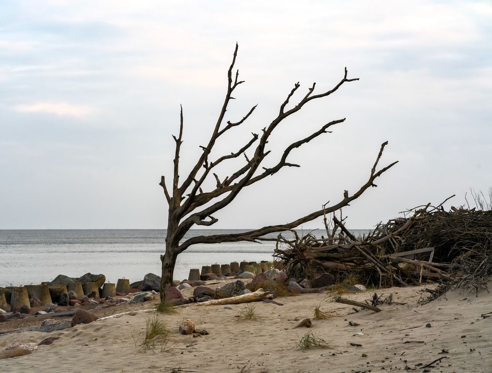 Photograph by Ilya Tikhaev