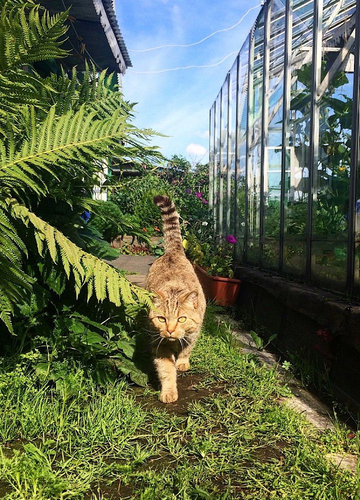 Photograph by Вера Романова