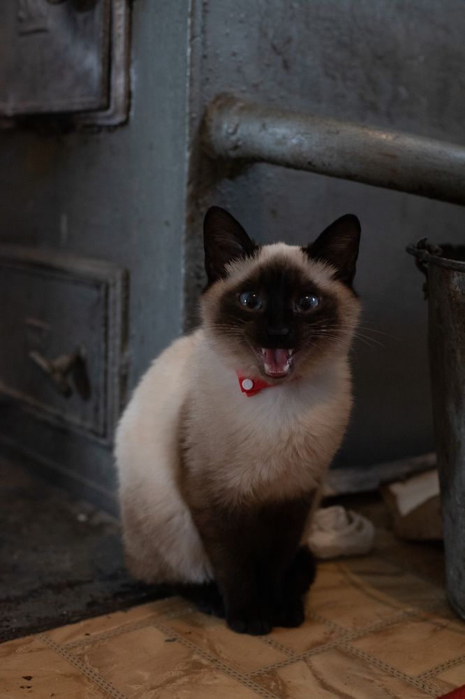 Photograph by Мария Жукова