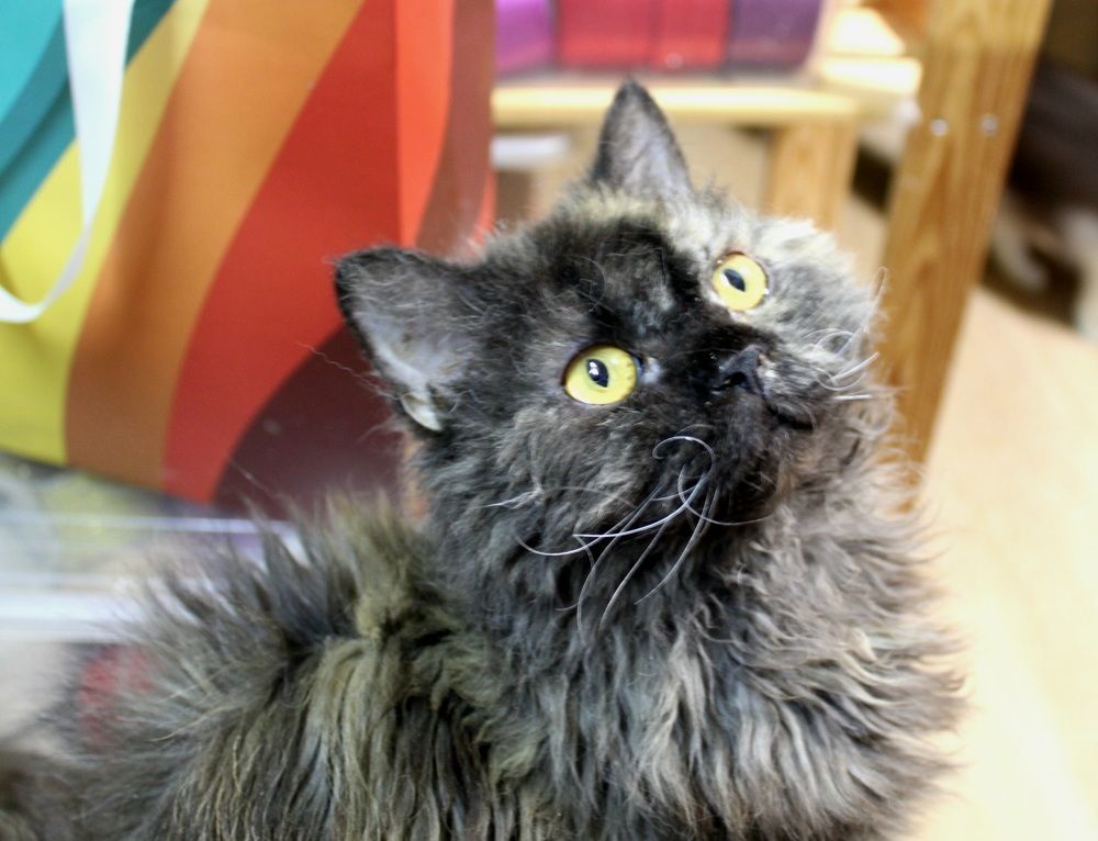 Photograph by Оксана Шарагина