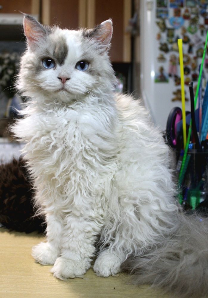 Photograph by Оксана Шарагина