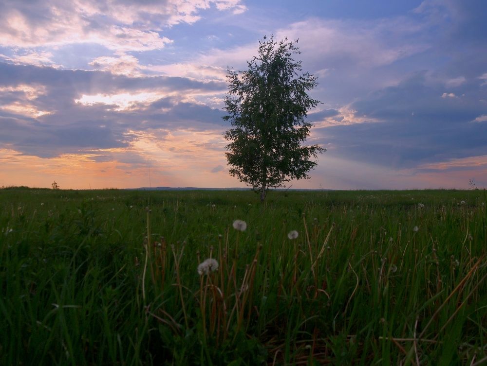 Photograph by Серёга Ануфриев