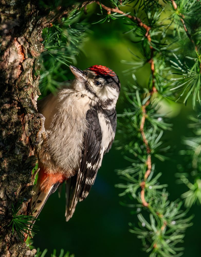 Photograph by Курлянцев Алексей