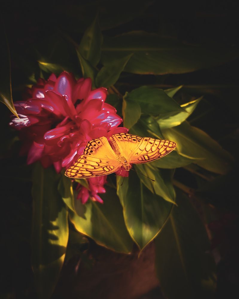 Photograph by Mauricio Santiago Boulogne