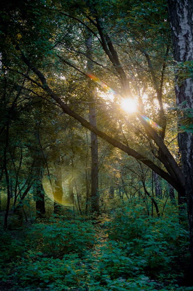 Photograph by Анна Потапова