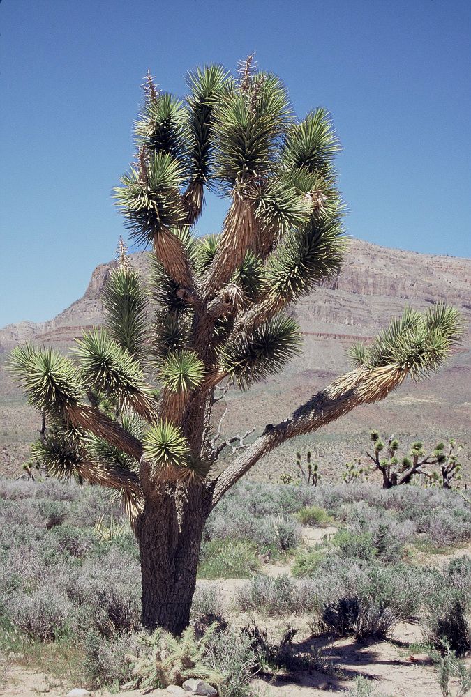 Photograph by Samuel Chan