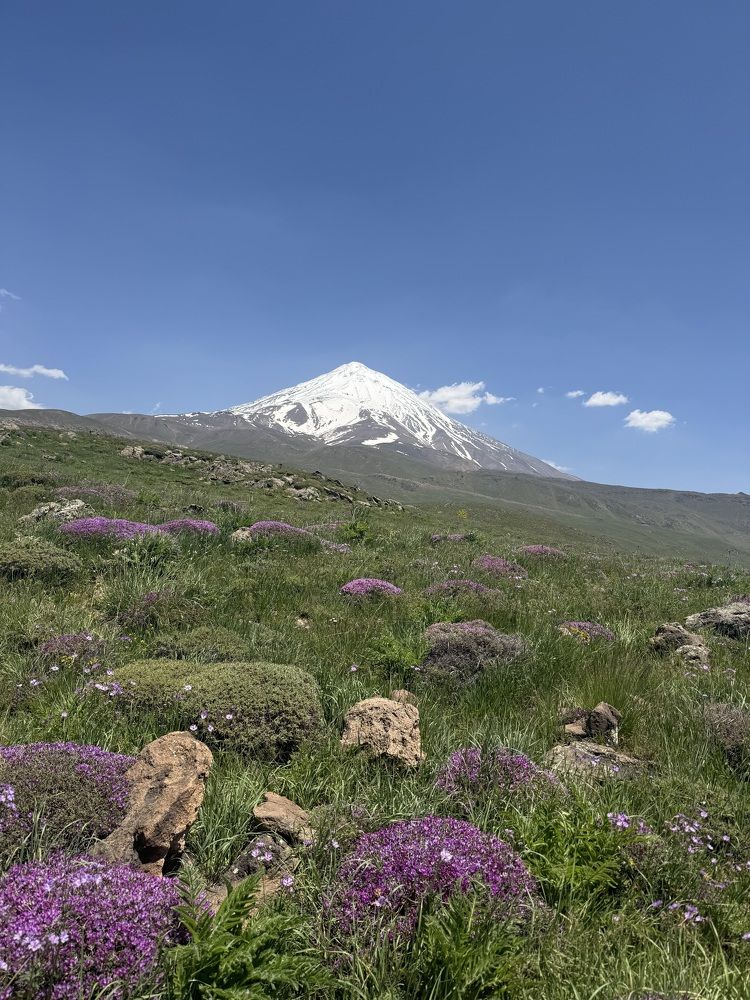 Photograph by Mahnaz Mohsenzadeh Kermani