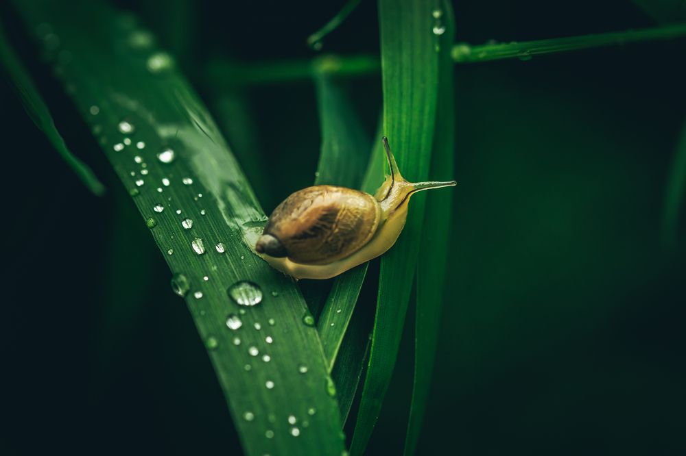 Photograph by Evgenia Loskutova