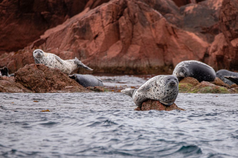 Photograph by Evgenia Loskutova