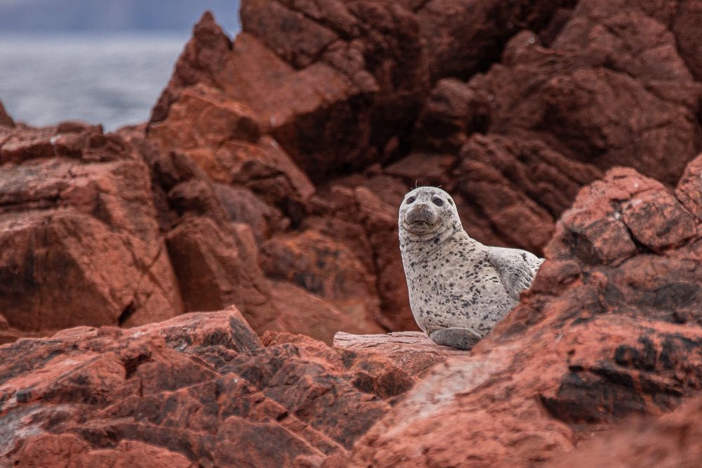 Photograph by Evgenia Loskutova