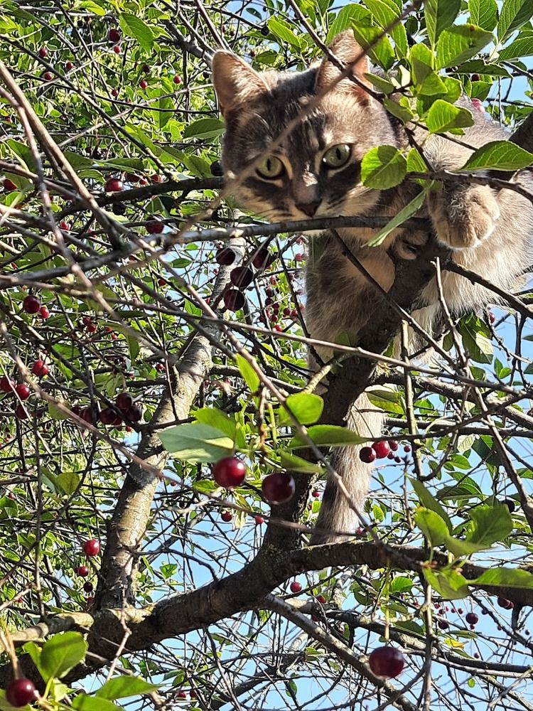 Photograph by Татьяна