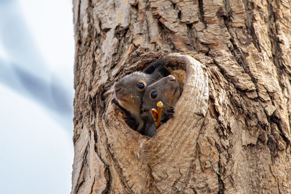 Photograph by Evgenia Loskutova