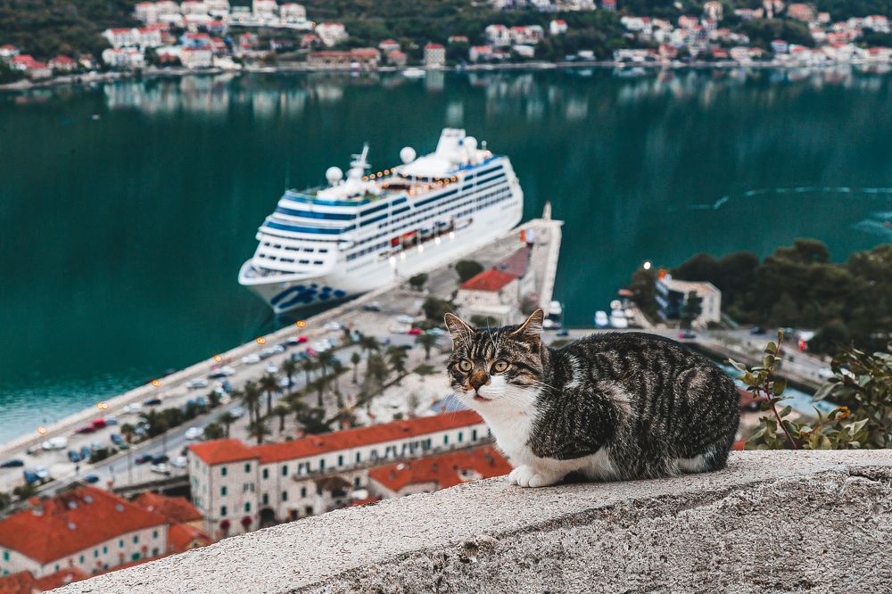 Фотография автора Konstantin Shendel