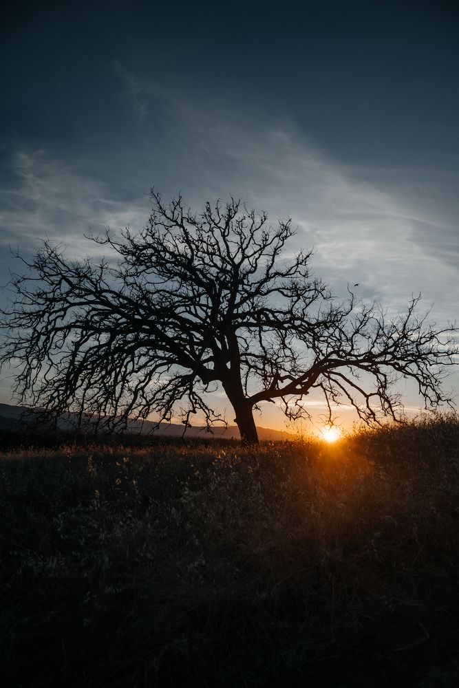 Photograph by Anna Vlasova