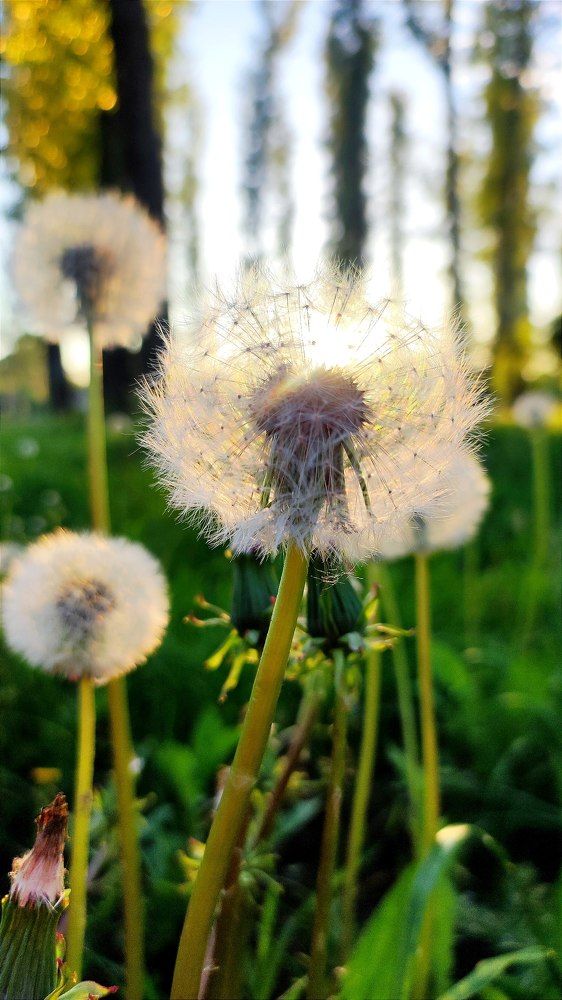 Photograph by Кадырова Анастасия