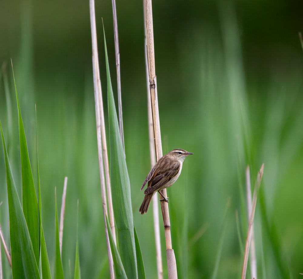 Photograph by Марина